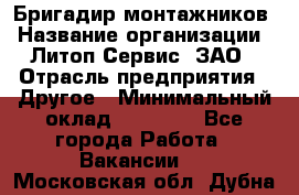 Бригадир монтажников › Название организации ­ Литоп-Сервис, ЗАО › Отрасль предприятия ­ Другое › Минимальный оклад ­ 23 000 - Все города Работа » Вакансии   . Московская обл.,Дубна г.